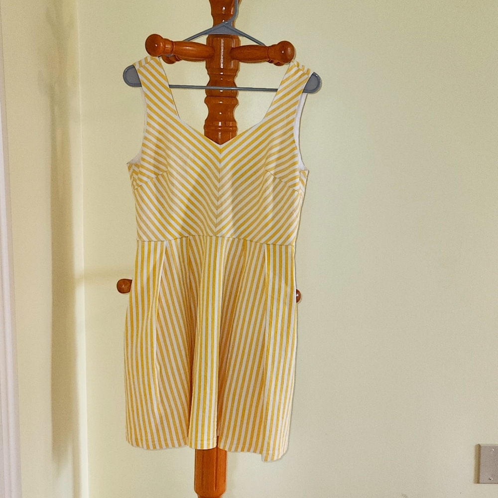 Sunshine Fit and Flare with Pockets!